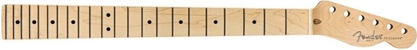 Fender American Pro Telecaster Replacement Neck, Main
