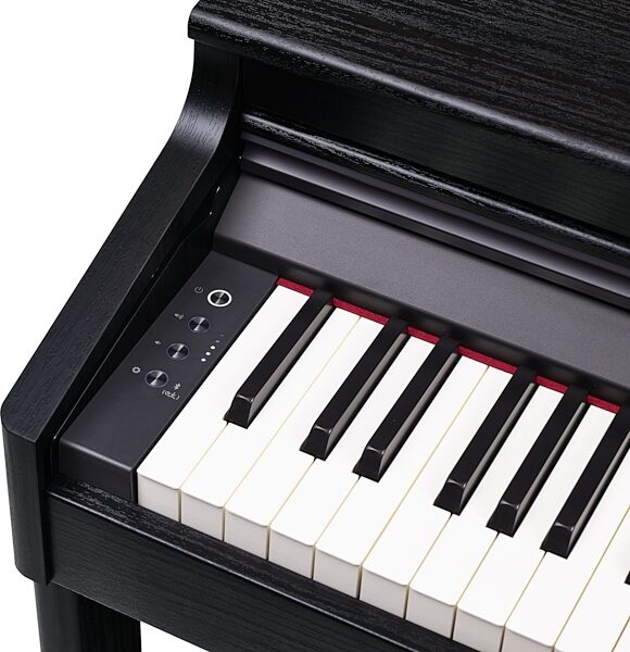 Roland RP701 Digital Piano, Black, Action Position Front