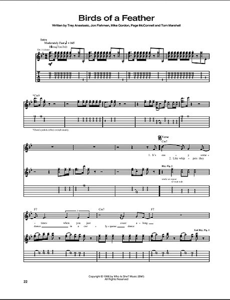 Birds Of A Feather - Guitar TAB, New, Main