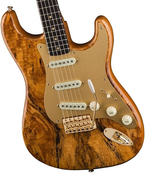 Fender Custom Shop Artisan Spalted Maple Stratocaster (with Case), Alt