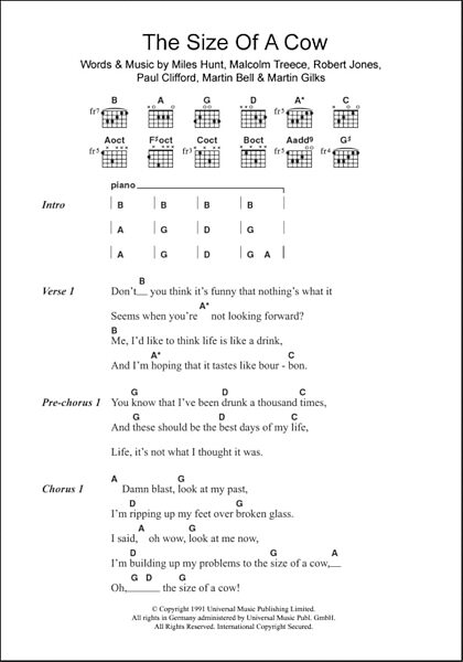 The Size Of A Cow - Guitar Chords/Lyrics, New, Main