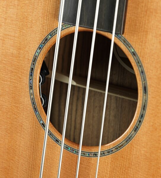 Breedlove Solo Jumbo CE Cedar and Ovangkol Fretless Acoustic-Electric Bass, Action Position Back