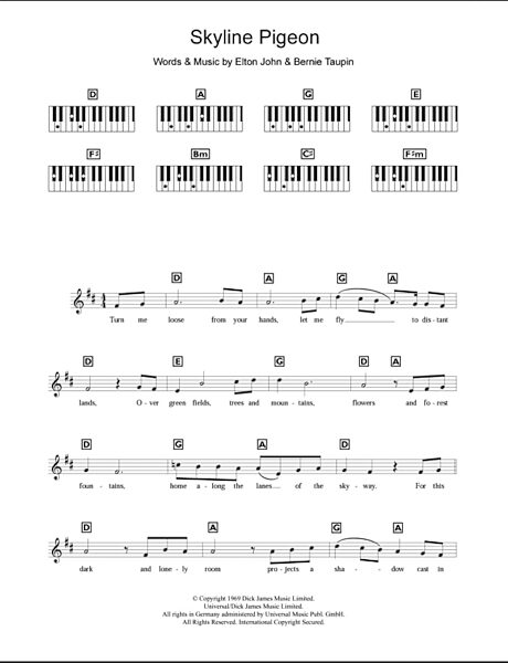 Skyline Pigeon - Piano Chords/Lyrics, New, Main