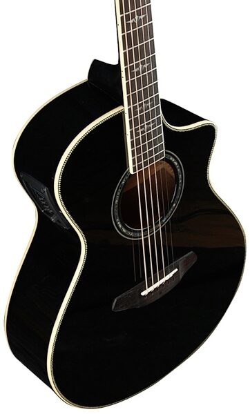 Breedlove 2015 Stage Dreadnought Acoustic-Electric Guitar (with Gig Bag), Black Magic 5