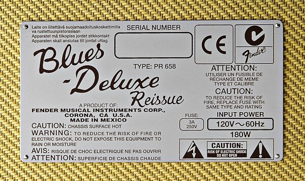 Fender Blues Deluxe Reissue Guitar Combo Amplifier (40 Watts, 1x12"), New, Back