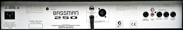 Fender Bassman 250/115 Bass Combo Amplifier (250 Watts, 1x15 in.), Back Panel