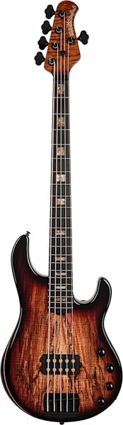 Ernie Ball Music Man StingRay 5 35th Anniversary Bass Guitar (with Mono Gig Bag), Main