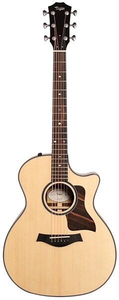 Taylor Custom-GA-8874 Grand Auditorium Custom Acoustic-Electric Guitar (with Case), Main