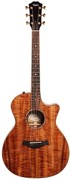 Taylor Custom-GA-8877 Grand Auditorium Custom Acoustic-Electric Guitar (with Case), Main