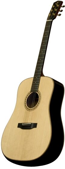 Bedell TB-28-G Dreadnought Acoustic Guitar (with Case), Main--tb-28-g-1