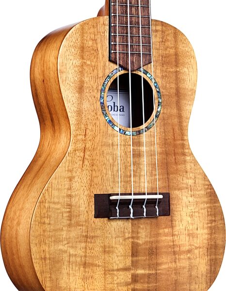 Cordoba 28C Koa Concert Ukulele, Action Position Back