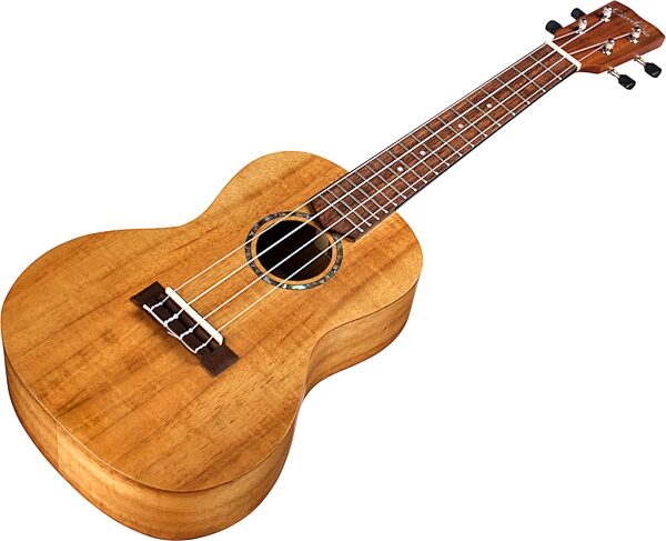 Cordoba 28C Koa Concert Ukulele, Action Position Back