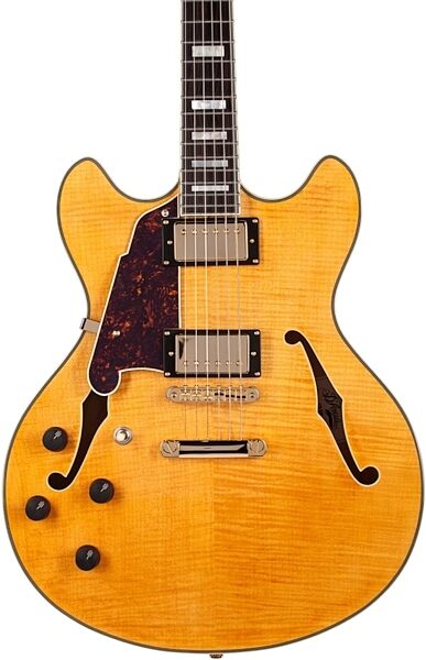 D'Angelico EX-DC Semi-Hollowbody Electric Guitar, Left-Handed, Natural - Front Body