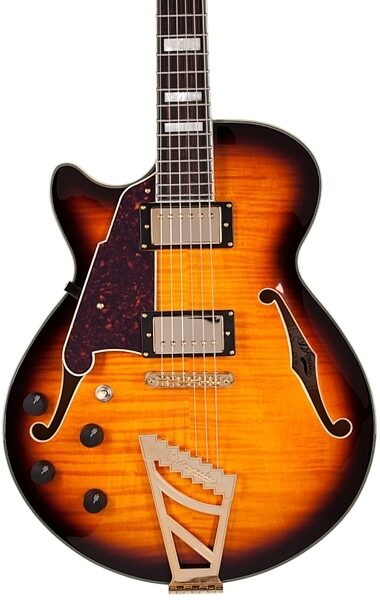 D'Angelico EXSSL Semi-Hollowbody Electric Guitar, Left-Handed (with Case), Front Body