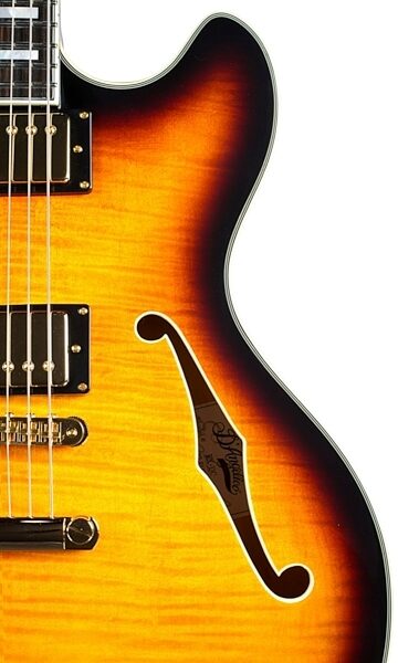 D'Angelico EX-DC Semi-Hollowbody Electric Guitar, Left-Handed, Vintage Sunburst - Closeup