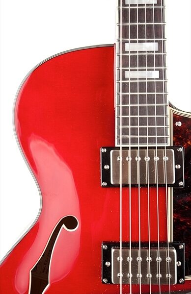 D'Angelico EX-175 Hollowbody Electric Guitar (with Case), Cherry - Neck
