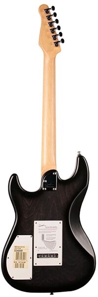 Godin Session Electric Guitar, Rosewood Fingerboard (with Gig Bag), Back