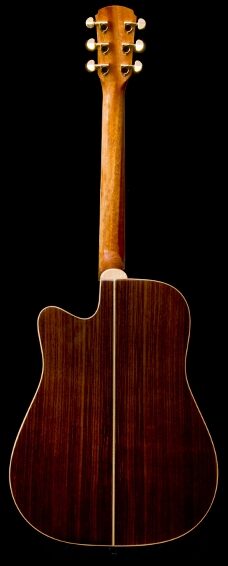 Great Divide SGD-28CE-G Dreadnought Acoustic-Electric Guitar (with Gig Bag), Back--sgd-28c-g-3