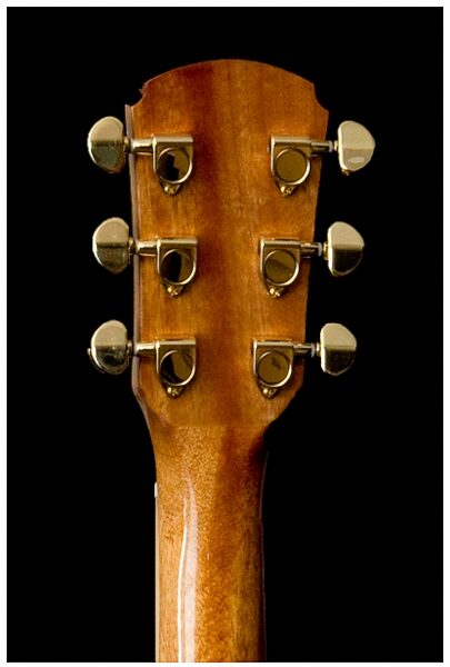 Great Divide SGD-28CE-G Dreadnought Acoustic-Electric Guitar (with Gig Bag), Headstock--sgd-28c-g-4