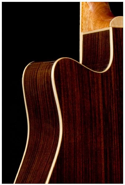Great Divide SGD-28CE-G Dreadnought Acoustic-Electric Guitar (with Gig Bag), Body Closeup - Back--sgd-28c-g-5
