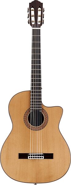 Guild GN-5 Classical Acoustic-Electric Guitar with Case, Main