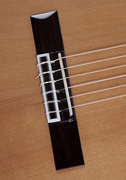 Guild GN-5 Classical Acoustic-Electric Guitar with Case, Bridge