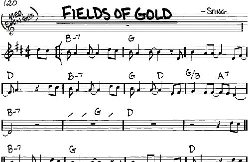 Fields Of Gold - Real Book - Melody/Chords, New, Main