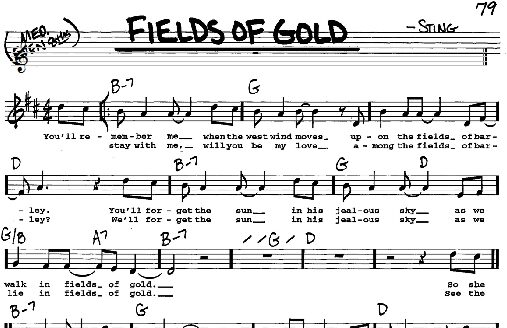 Fields Of Gold - Real Book - Melody/Chords/Lyrics, New, Main