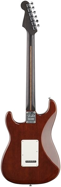 Fender Rarities Stratocaster Thinline HSS, Solid Rosewood Neck, Electric Guitar (with Case), Full Straight Back