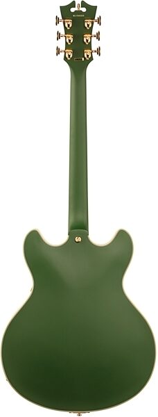 D'Angelico Limited Edition Deluxe DC Stairstep Electric Guitar (with Case), Full Straight Back