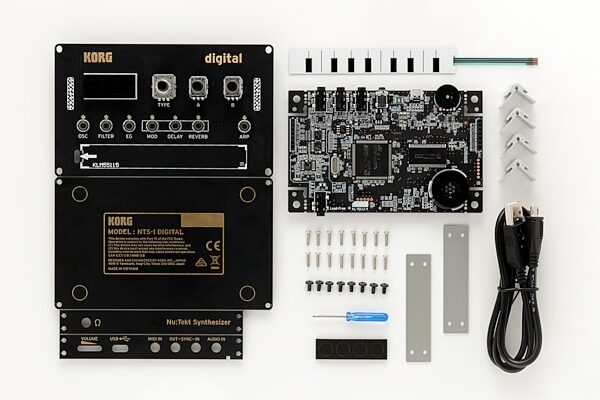 Korg NTS-1 Nu:Tekt Digital DIY Synthesizer, New, Action Position Back