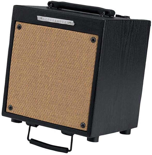 Ibanez T20 Troubadour Acoustic Guitar Amplifier (20 Watts, 1x8 in.), Main