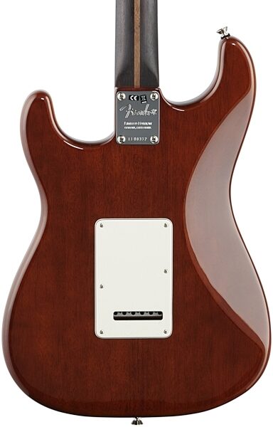 Fender Rarities Stratocaster Thinline HSS, Solid Rosewood Neck, Electric Guitar (with Case), Body Straight Back