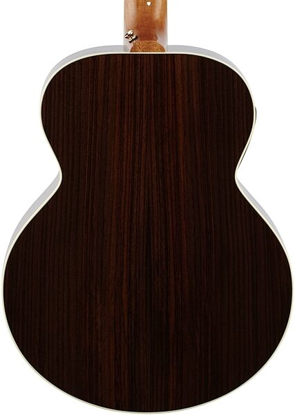 Gibson Limited Edition Parlor Rosewood Acoustic-Electric Guitar, 12-String (with Case), Body Straight Back
