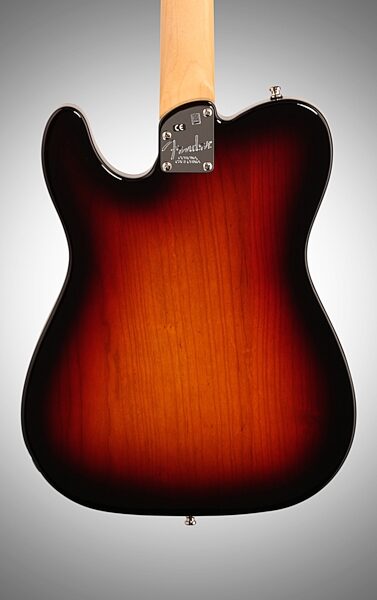 Fender American Elite Telecaster Thinline Electric Guitar (Maple, with Case), Body Straight Back