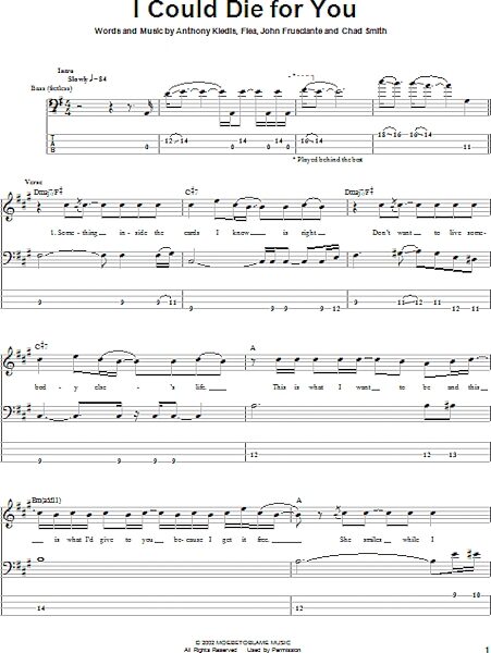 I Could Die For You - Bass Tab, New, Main