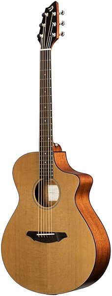 Breedlove C250/CM Passport Series Acoustic-Electric Guitar (with Gig Bag), Main