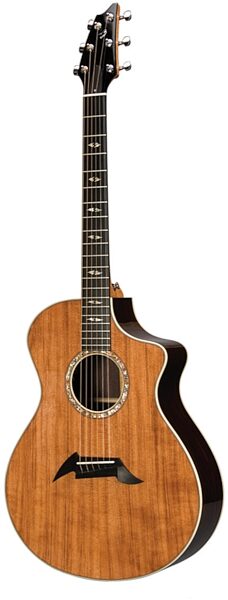 Breedlove Performance Series Focus Special Edition Acoustic Guitar (with Case), Main