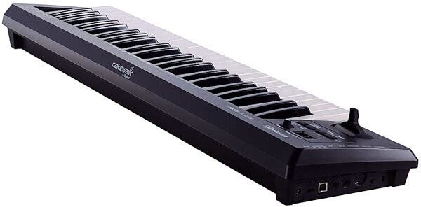 Cakewalk A-500S 49-Key USB/MIDI Keyboard Controller, Rear