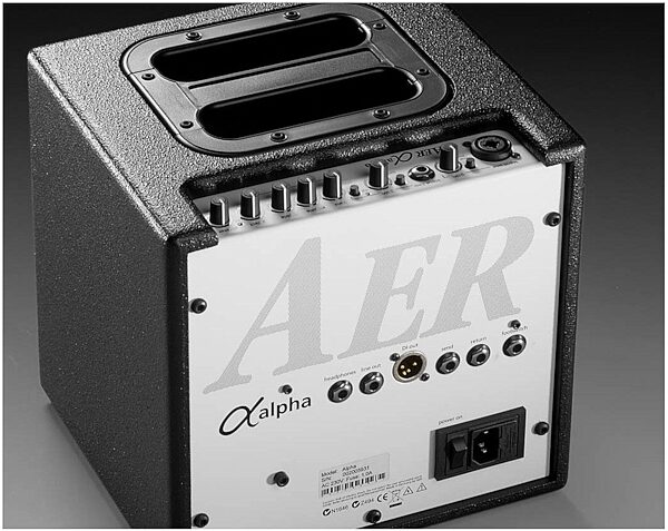 AER Alpha Acoustic Guitar Amplifier (40 Watts, 1x8"), Rear