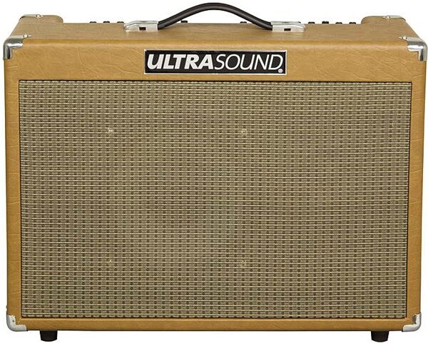 UltraSound PRO-250 Acoustic Guitar Amplifier (250 Watts, 1x10"), Main