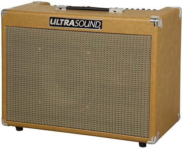 UltraSound PRO-250 Acoustic Guitar Amplifier (250 Watts, 1x10"), Right