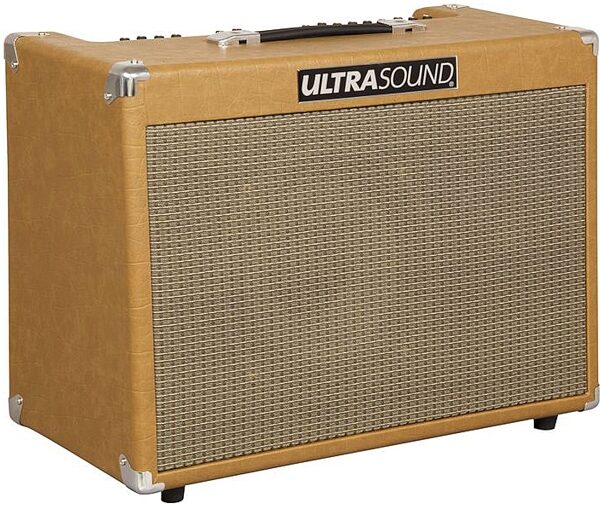 UltraSound PRO-250 Acoustic Guitar Amplifier (250 Watts, 1x10"), Left