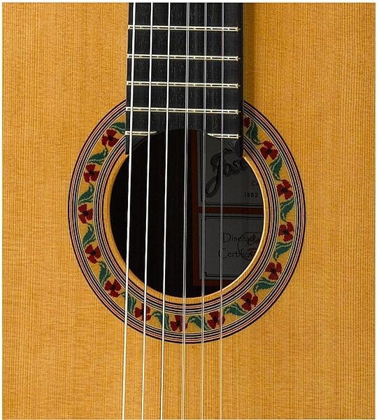 Ramirez 1NE Classical Acoustic Guitar with Case, Closeup