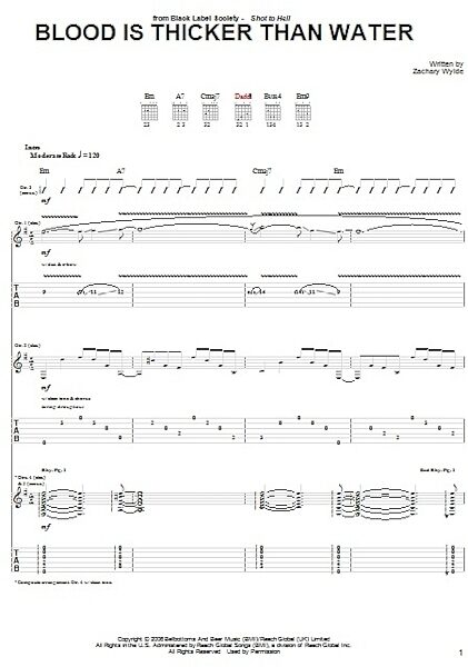 Blood Is Thicker Than Water - Guitar TAB, New, Main