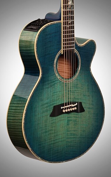 Takamine 2016 Limited Edition Decoy Acoustic-Electric Guitar (with Case), Full Left Front