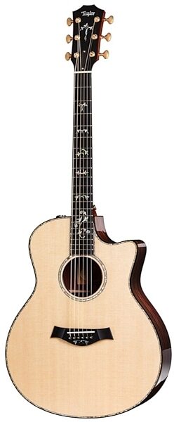 Taylor 916ce Grand Symphony Acoustic-Electric Guitar with Case, Main