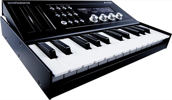 Roland A-01 Keyboard Controller and Tone Generator, View 2