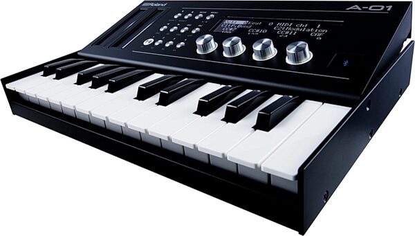Roland A-01 Keyboard Controller and Tone Generator, View 7