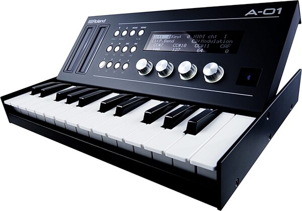 Roland A-01 Keyboard Controller and Tone Generator, View 6